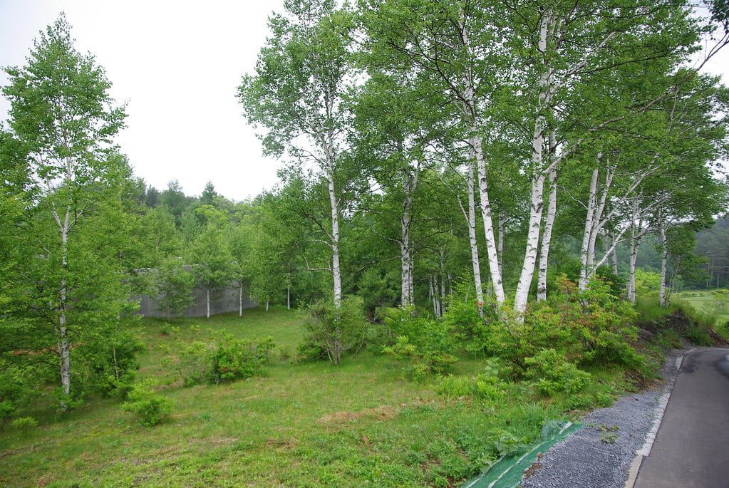 小海町高原美術館の写真7