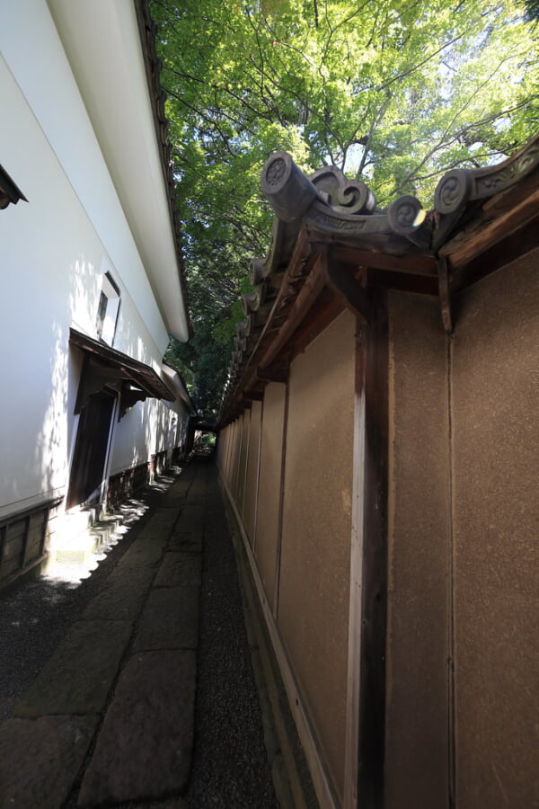 豪商の館・田中本家博物館の写真6