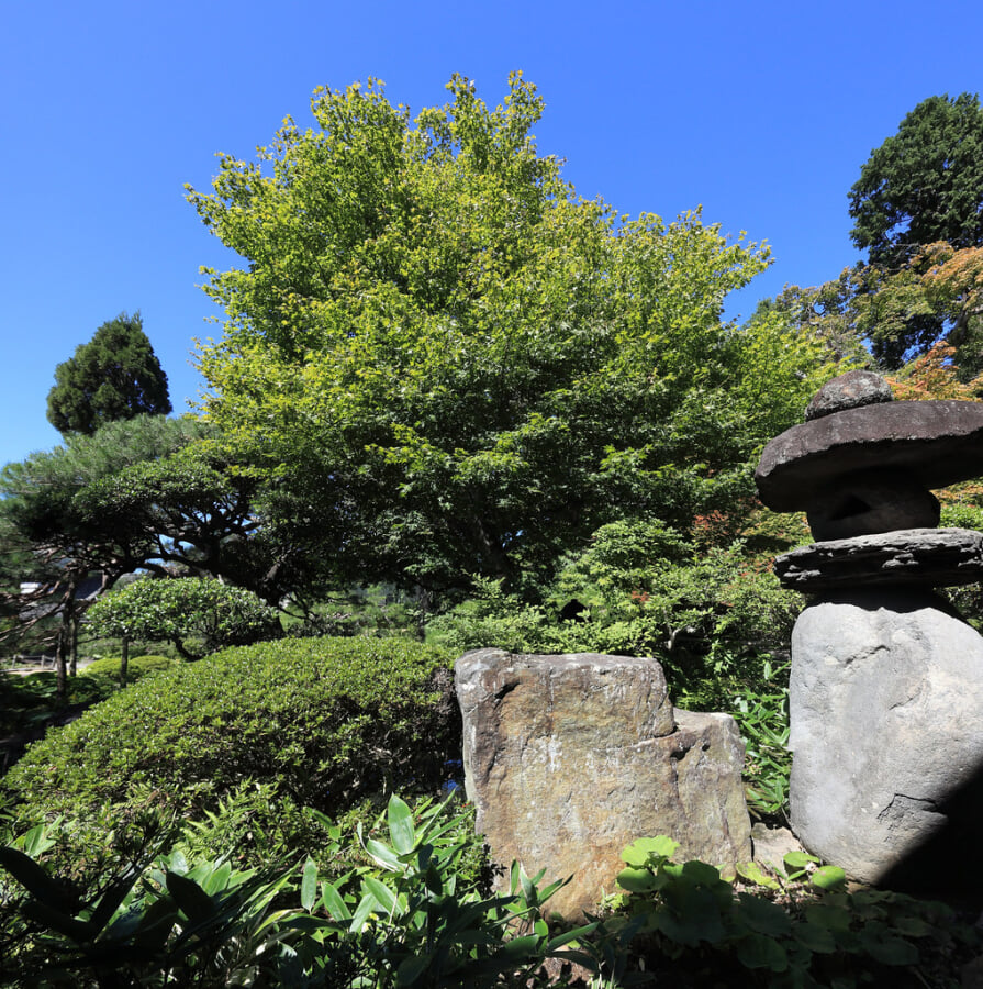 豪商の館・田中本家博物館の写真11