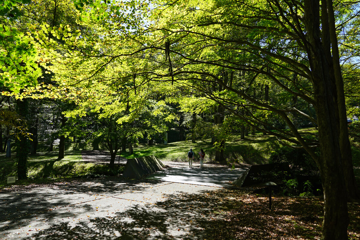 セゾン現代美術館の写真3