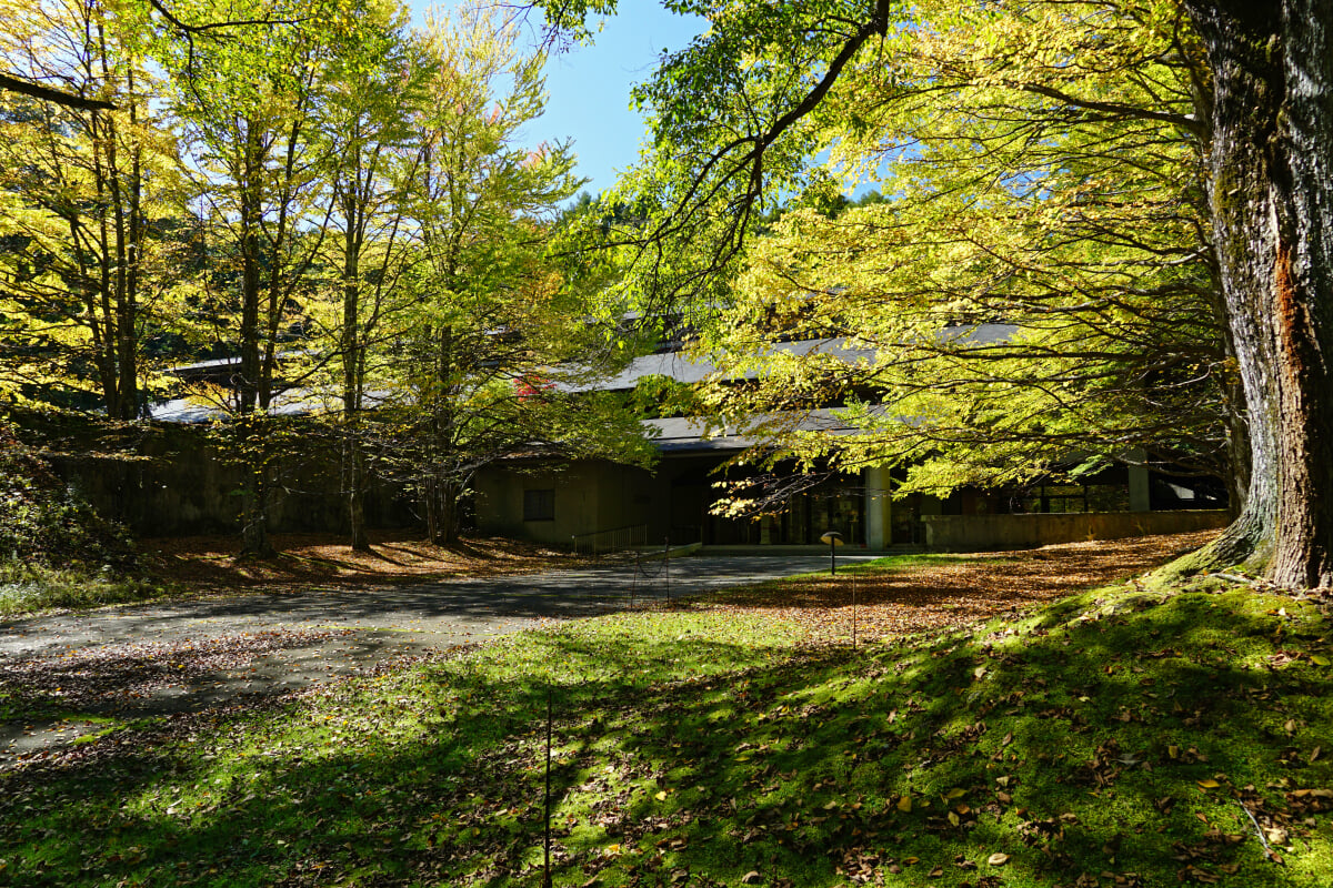 セゾン現代美術館の写真4