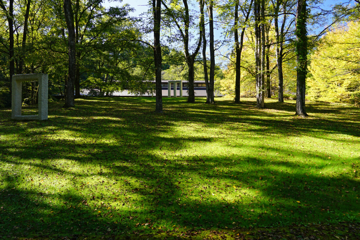 セゾン現代美術館の写真5