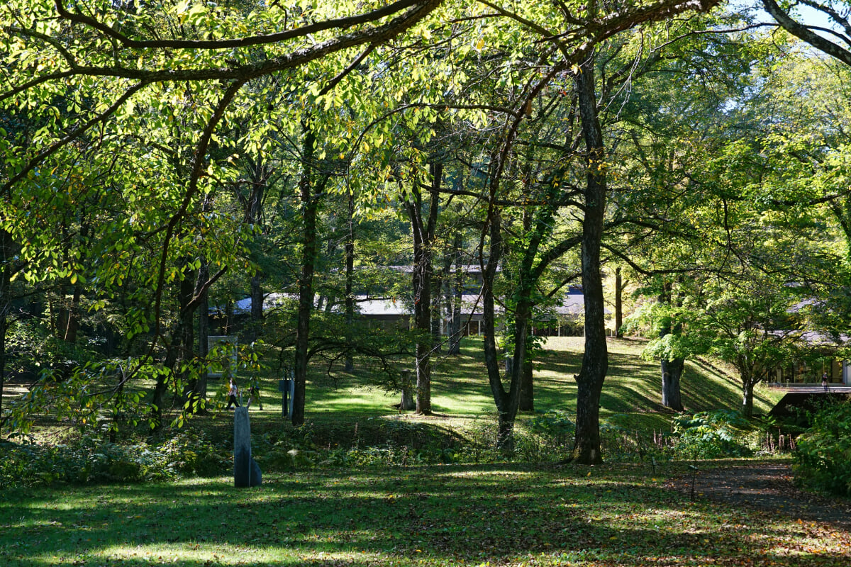 セゾン現代美術館の写真6