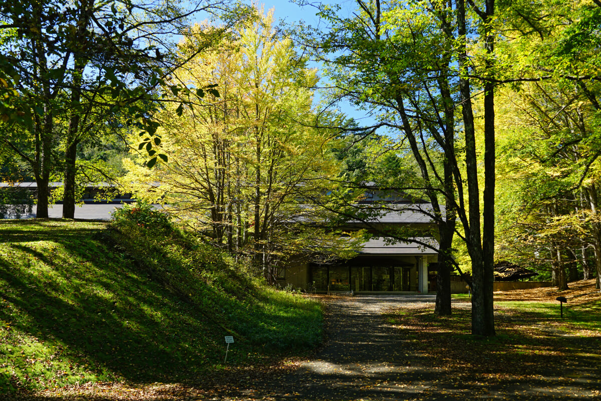 セゾン現代美術館の写真7