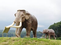 野尻湖ナウマンゾウ博物館