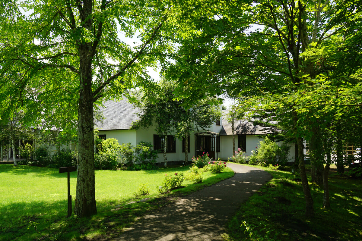 ルヴァン美術館の写真4