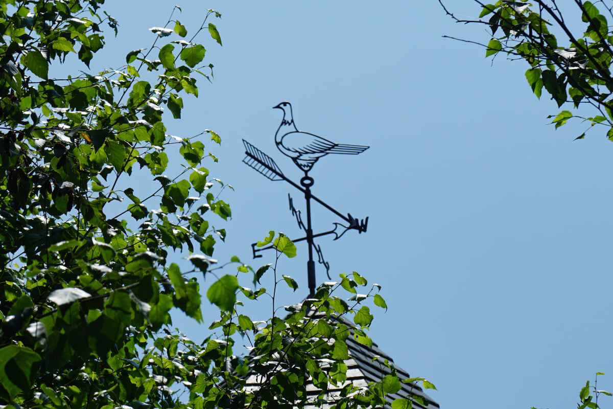 ルヴァン美術館の写真5