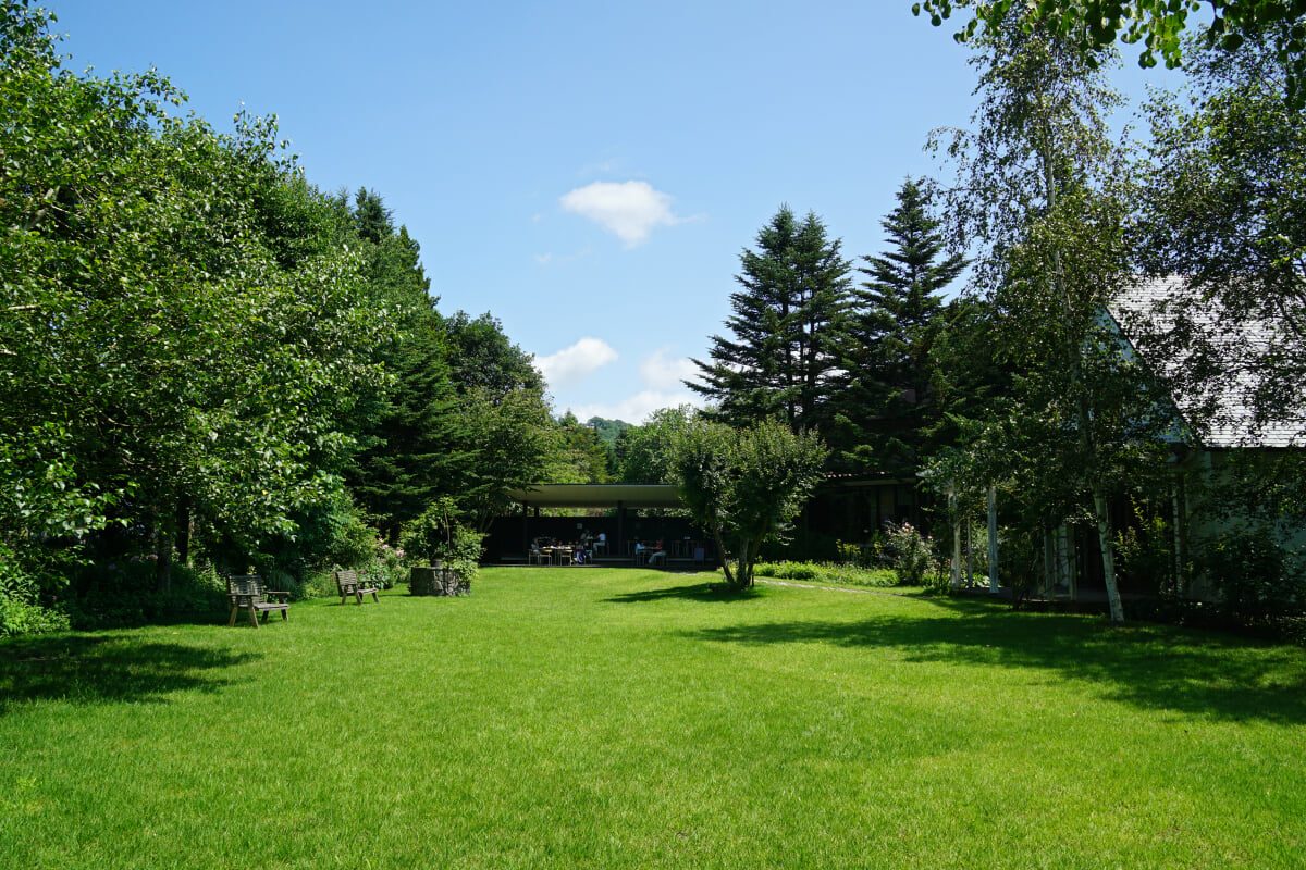 ルヴァン美術館の写真8