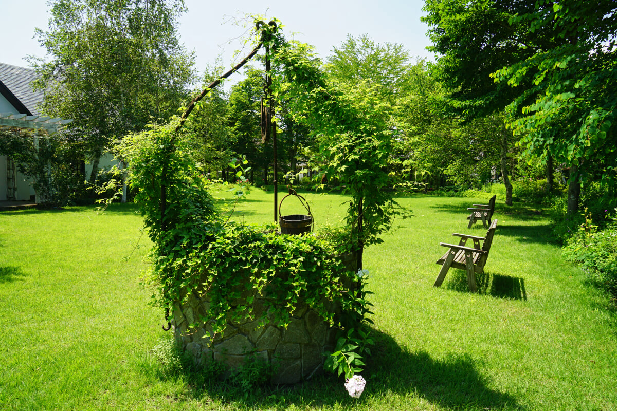 ルヴァン美術館の写真10