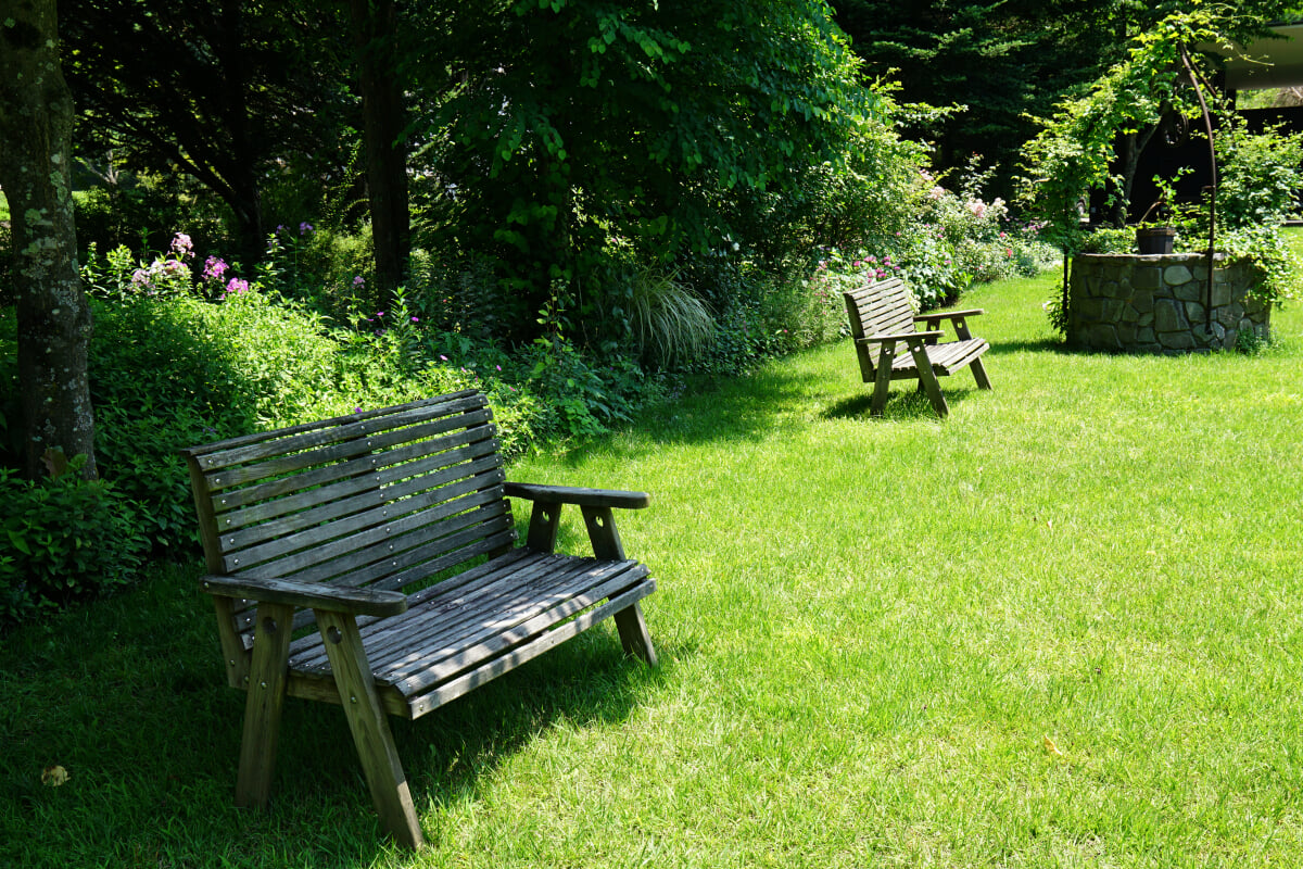 ルヴァン美術館の写真12