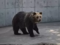 とくしま動物園