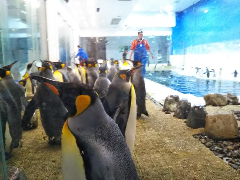 アドベンチャーワールドの写真4