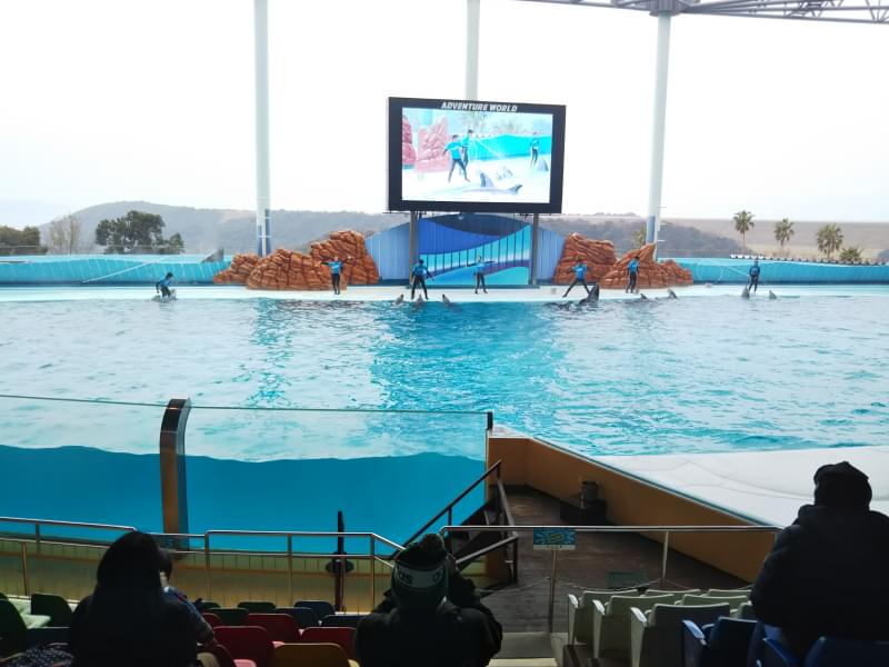 アドベンチャーワールドの写真6