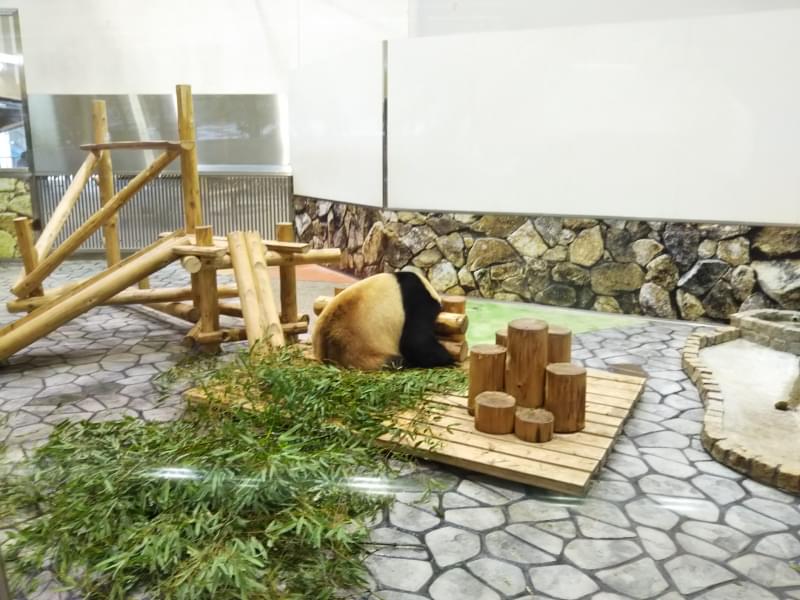 アドベンチャーワールドの写真7