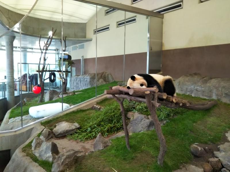 アドベンチャーワールドの写真8