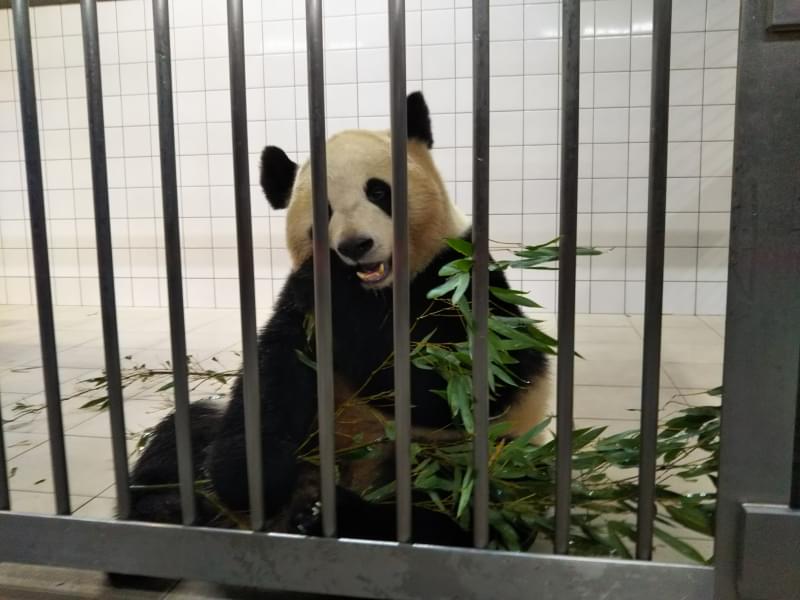 アドベンチャーワールドの写真9