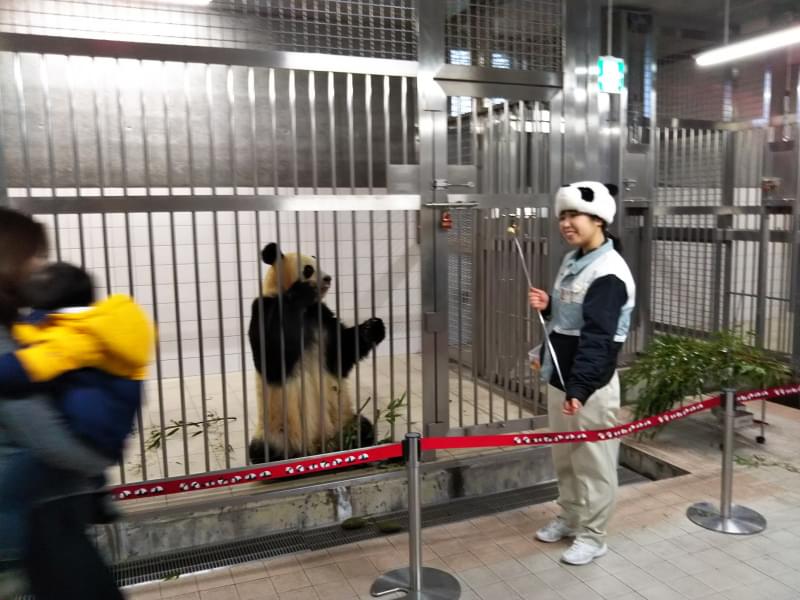 アドベンチャーワールドの写真10