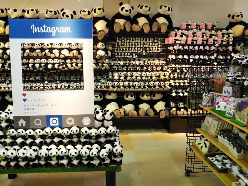 アドベンチャーワールドの写真12