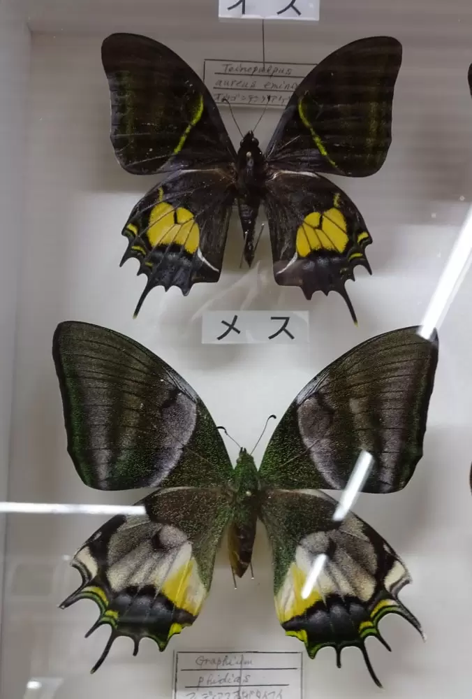 カメイ美術館の写真1