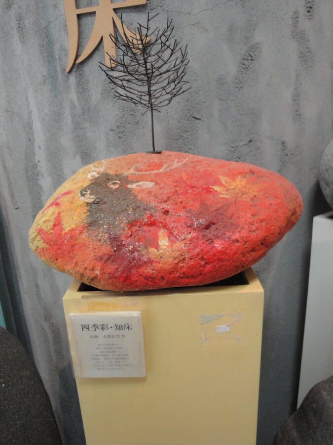 知床自然センターの写真3