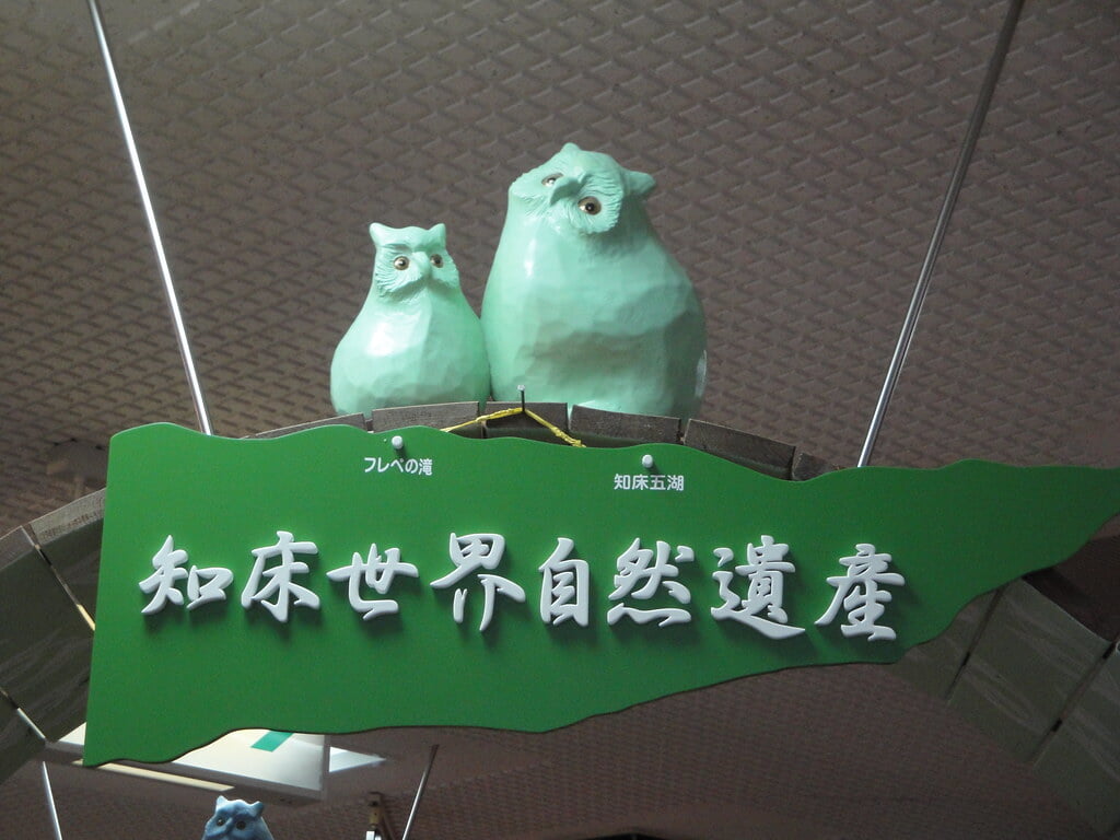 知床自然センターの写真9