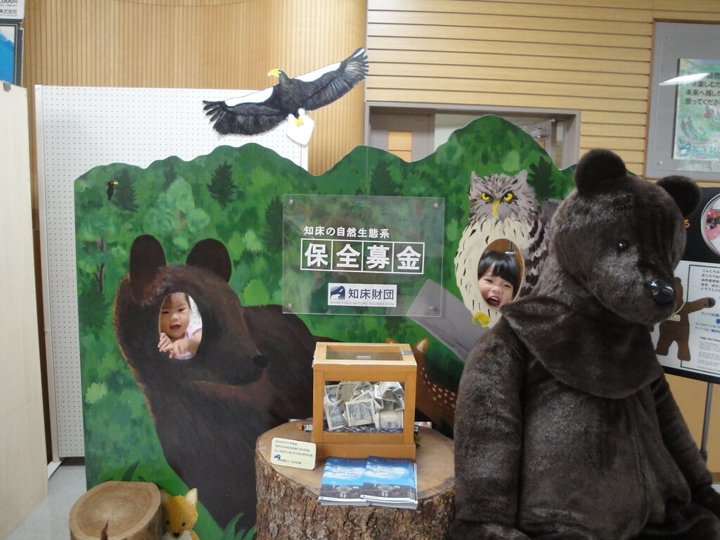 知床自然センターの写真1