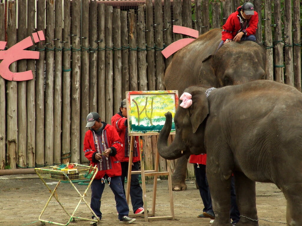 市原ぞうの国の写真6