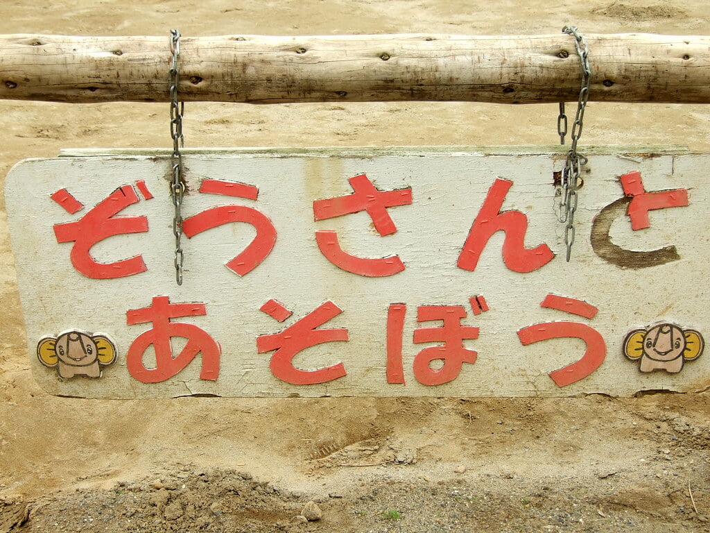 市原ぞうの国の写真9