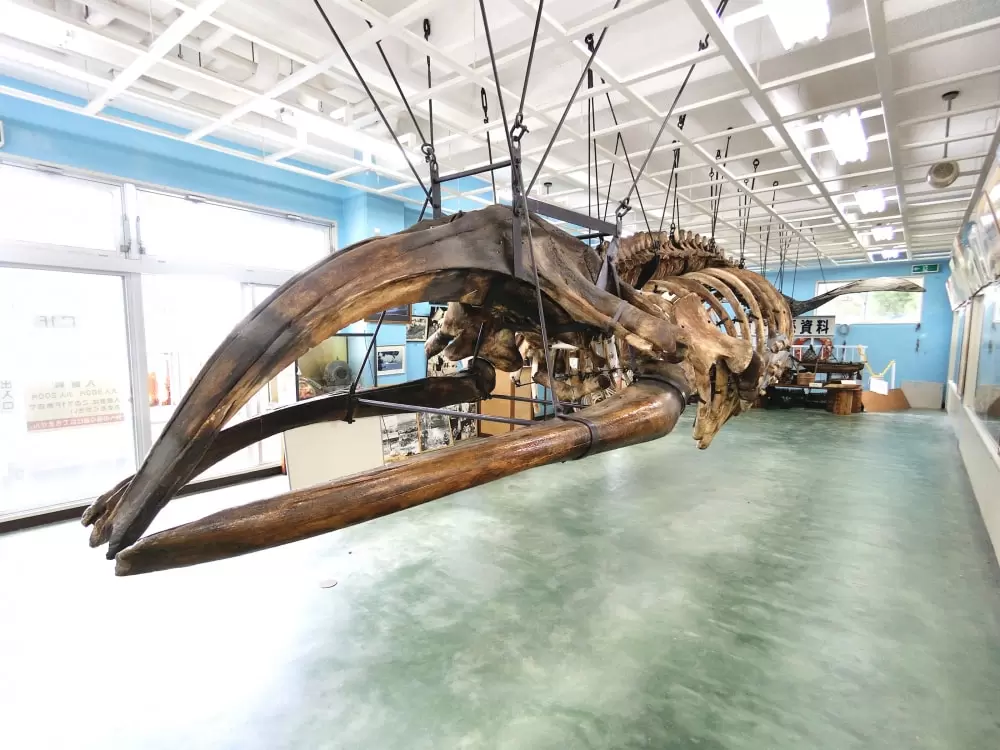 雲見くじら館の写真1