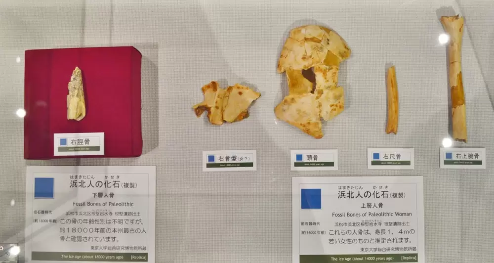 浜松市博物館の写真1