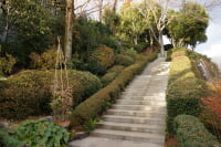 ヴァンジ彫刻庭園美術館・クレマチスガーデン