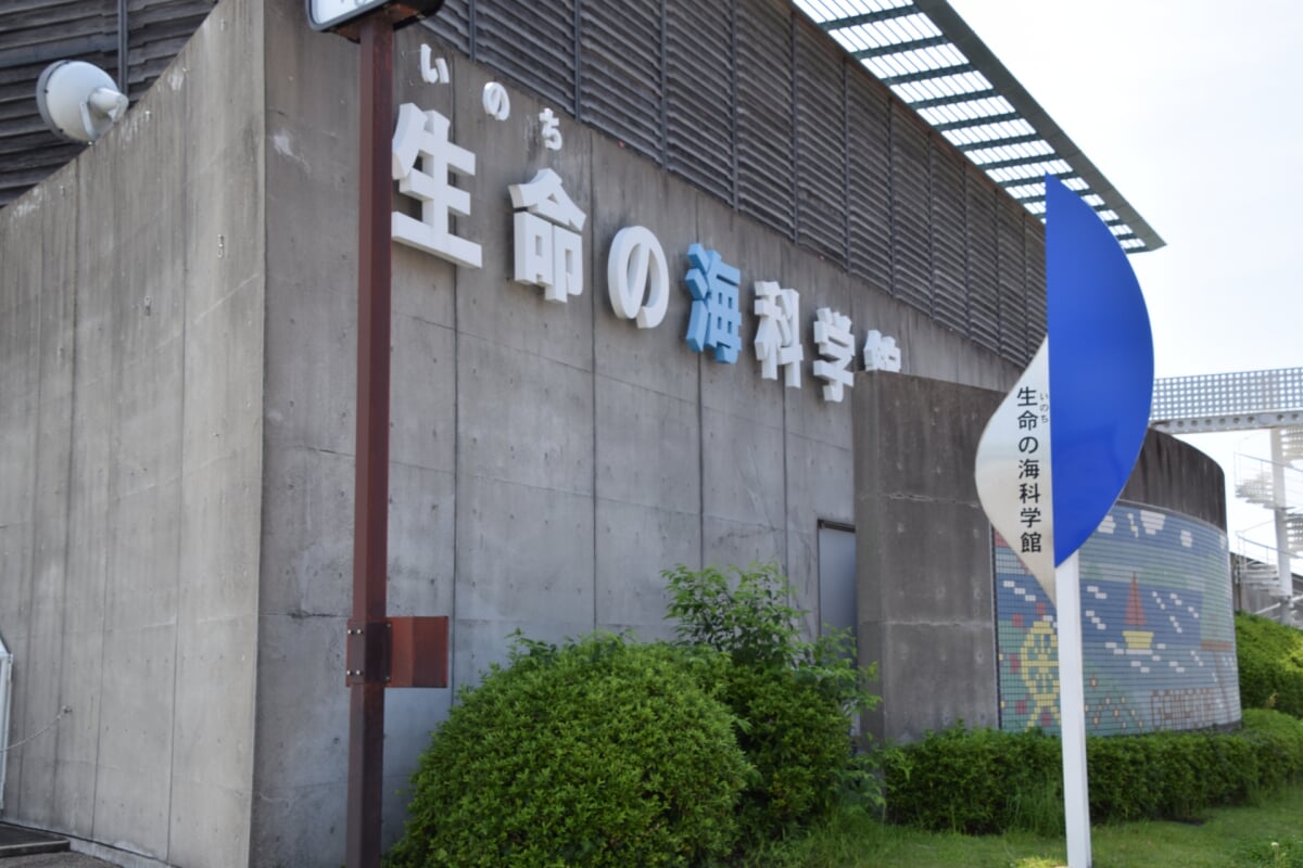 蒲郡市 生命の海科学館の写真2