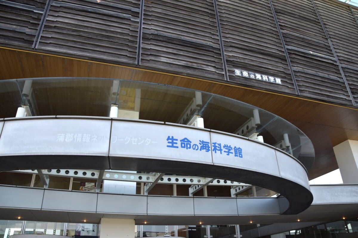 蒲郡市 生命の海科学館の写真6