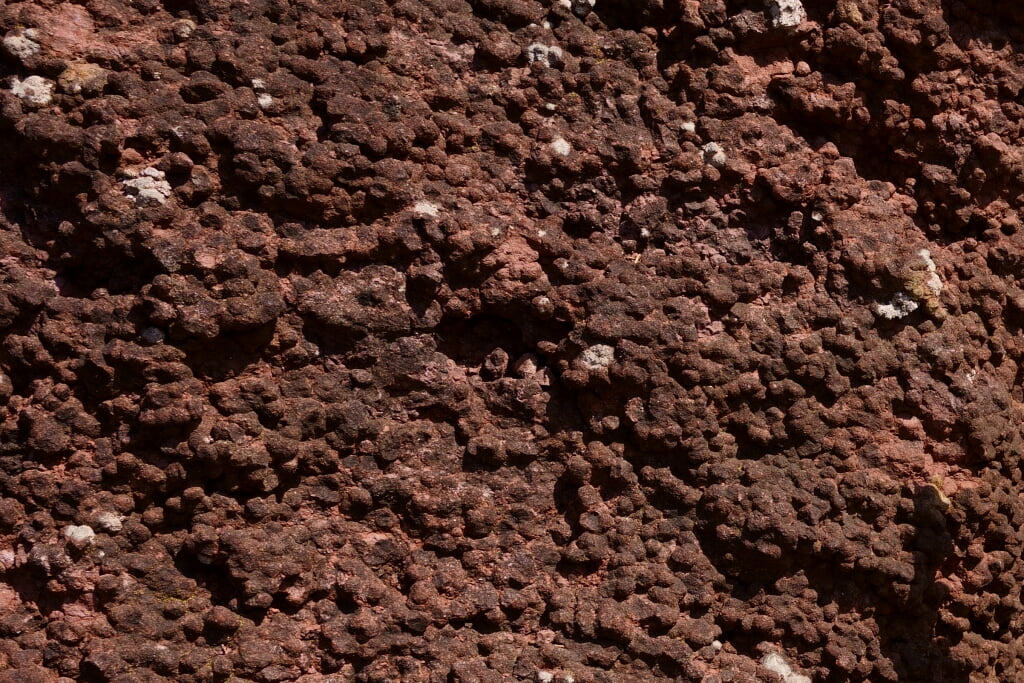 石水博物館の写真3