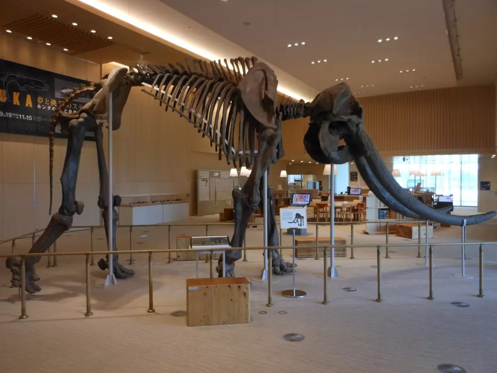 三重県総合博物館の写真1