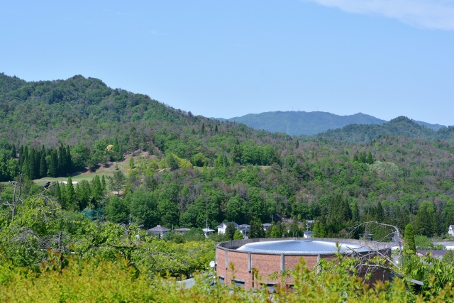 滋賀県立陶芸の森 陶芸館の写真3