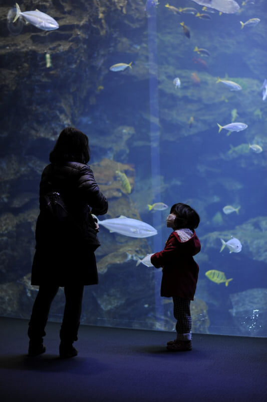 京都水族館の写真3
