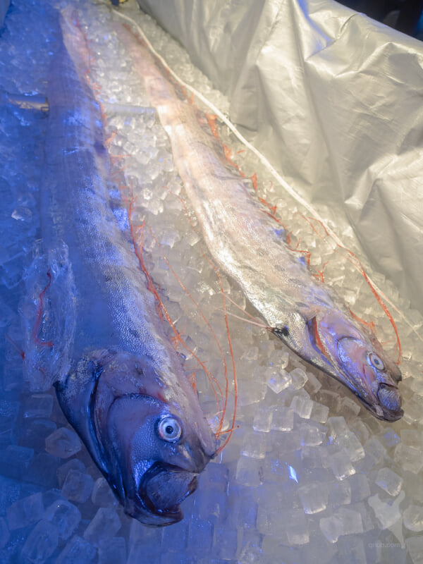 京都水族館の写真6