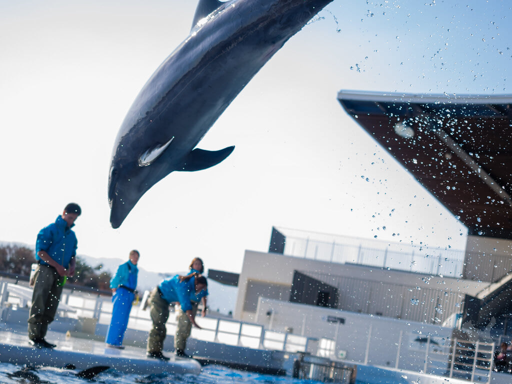 京都水族館の写真15