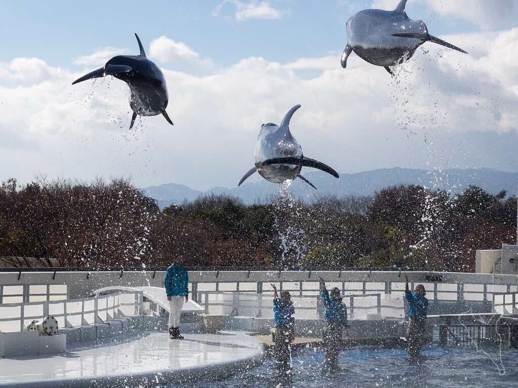 京都水族館の写真17