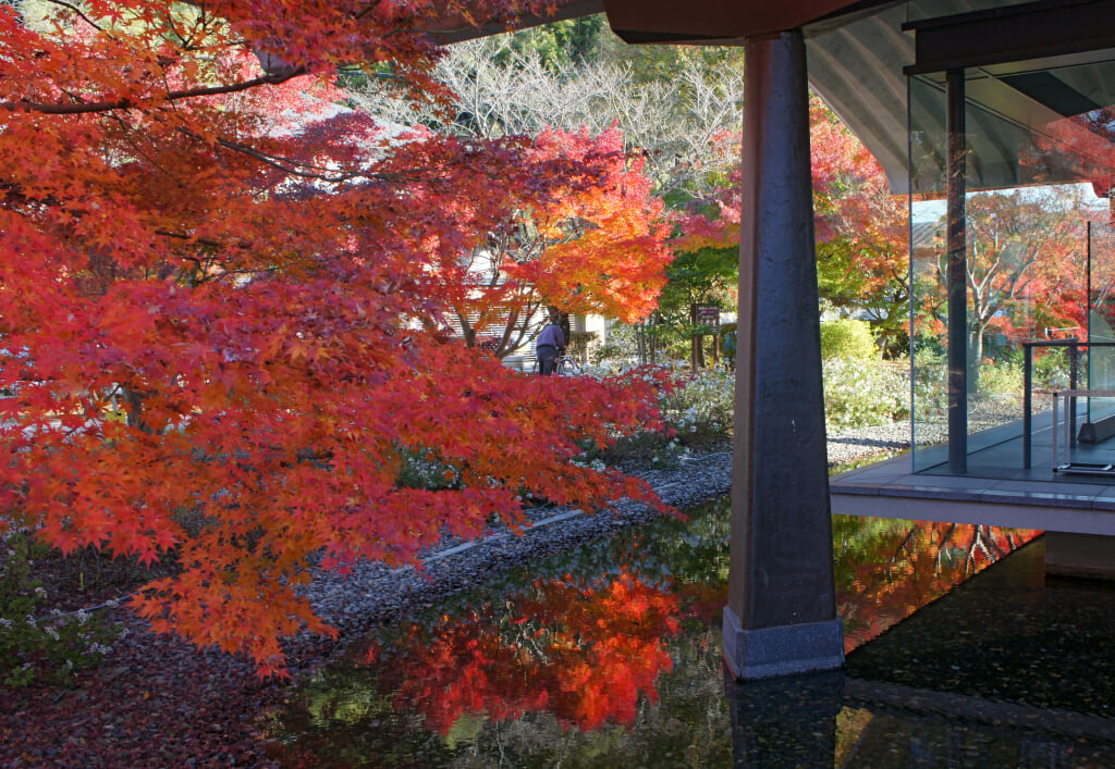 宇治市源氏物語ミュージアムの写真11