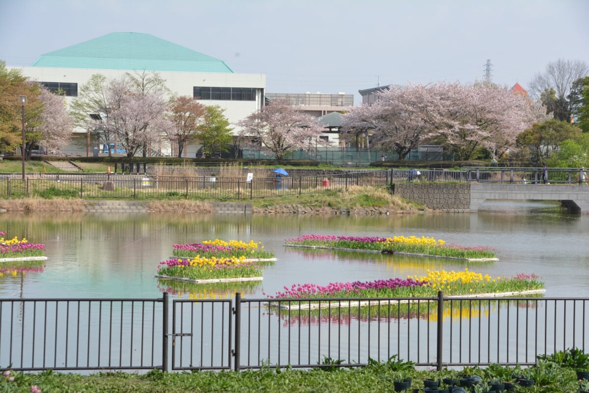 出羽公園の写真1
