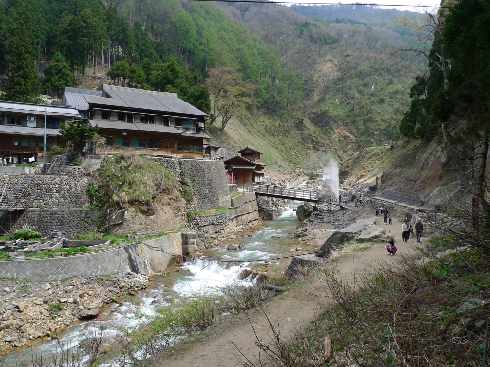 地獄谷野猿公苑の写真2