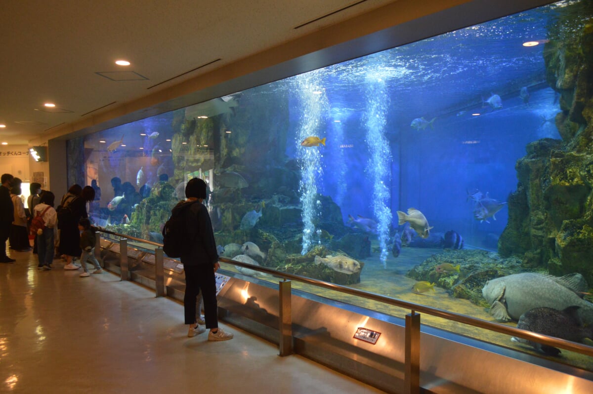 丹後魚っ知館の写真4