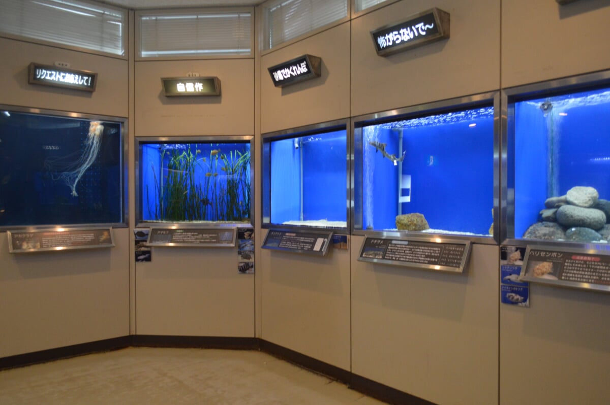 丹後魚っ知館の写真5