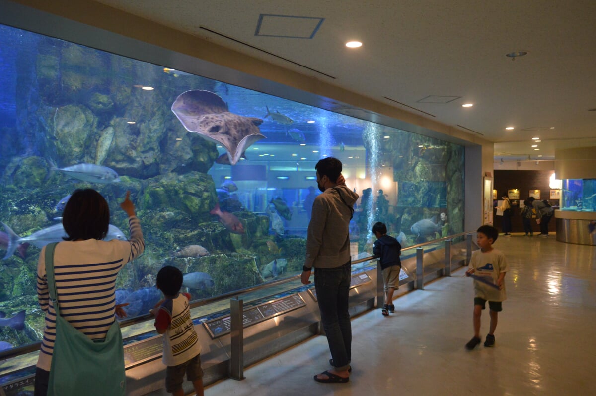 丹後魚っ知館の写真6