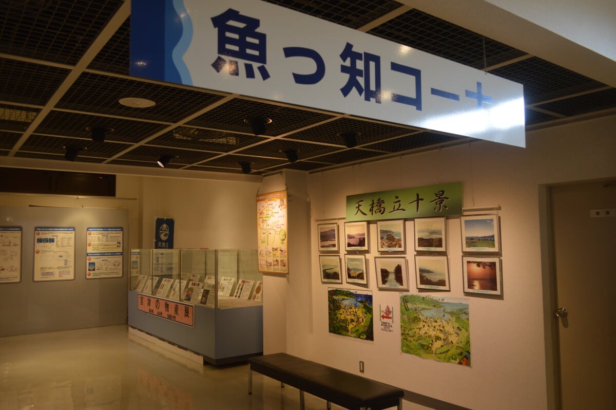 丹後魚っ知館の写真7