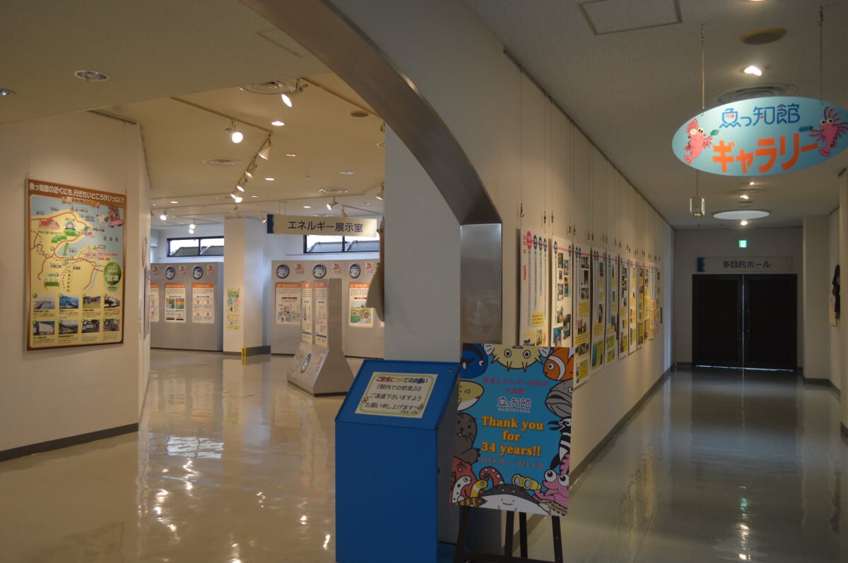 丹後魚っ知館の写真9