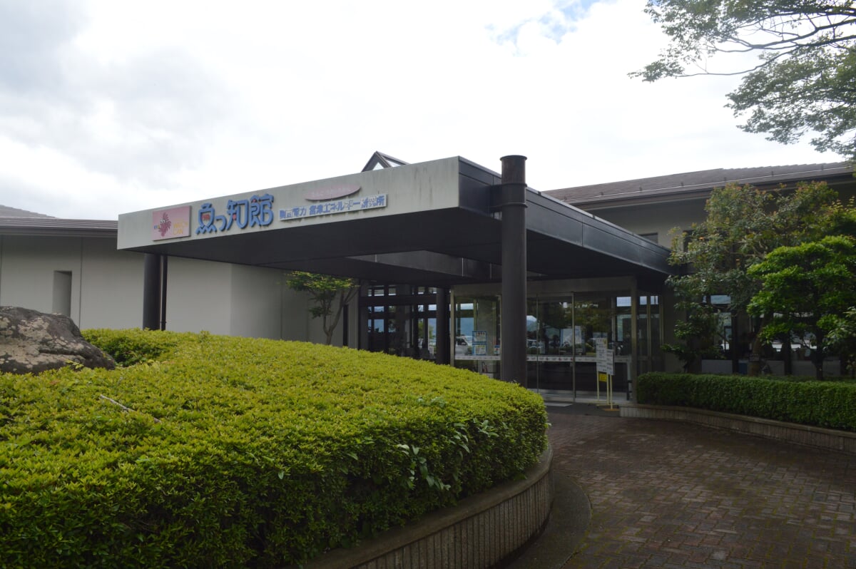 丹後魚っ知館の写真10