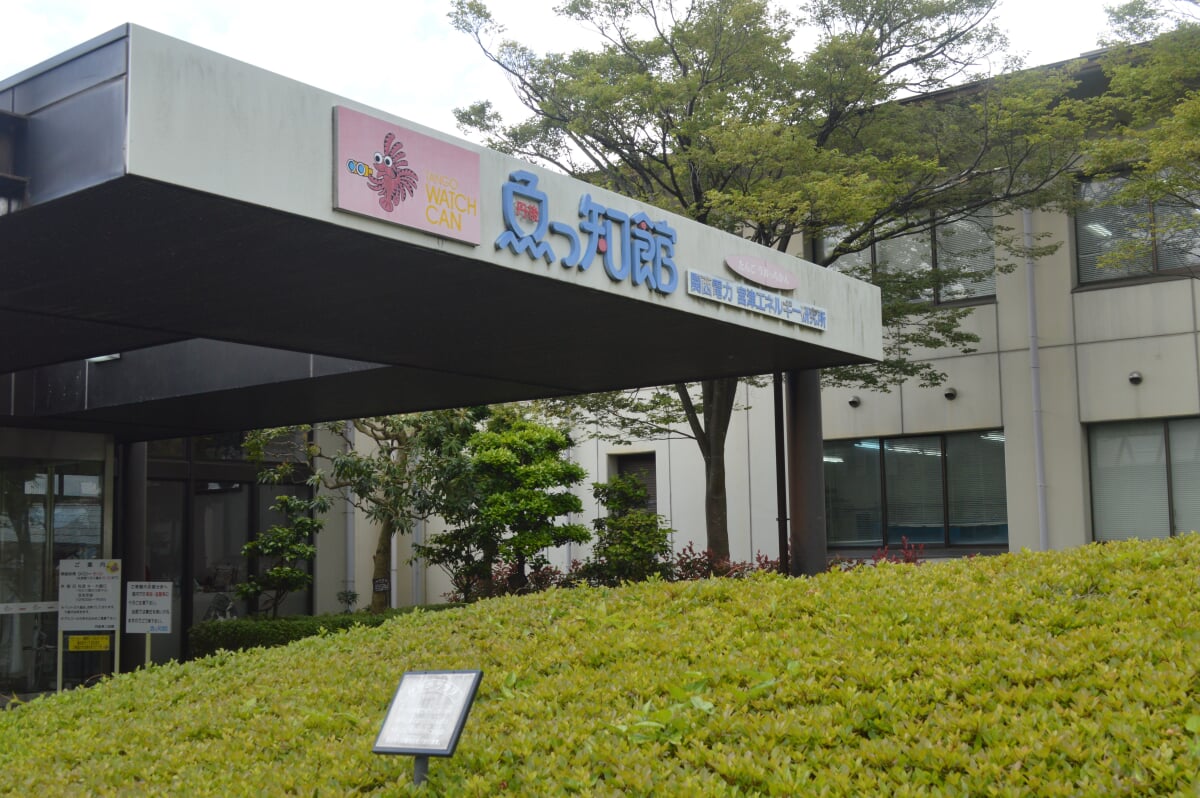 丹後魚っ知館の写真14